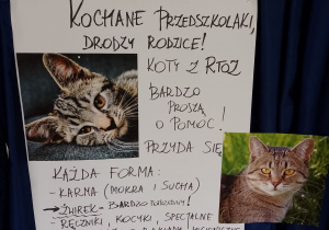 Plakat z informacją o zbiórce dla kotów.